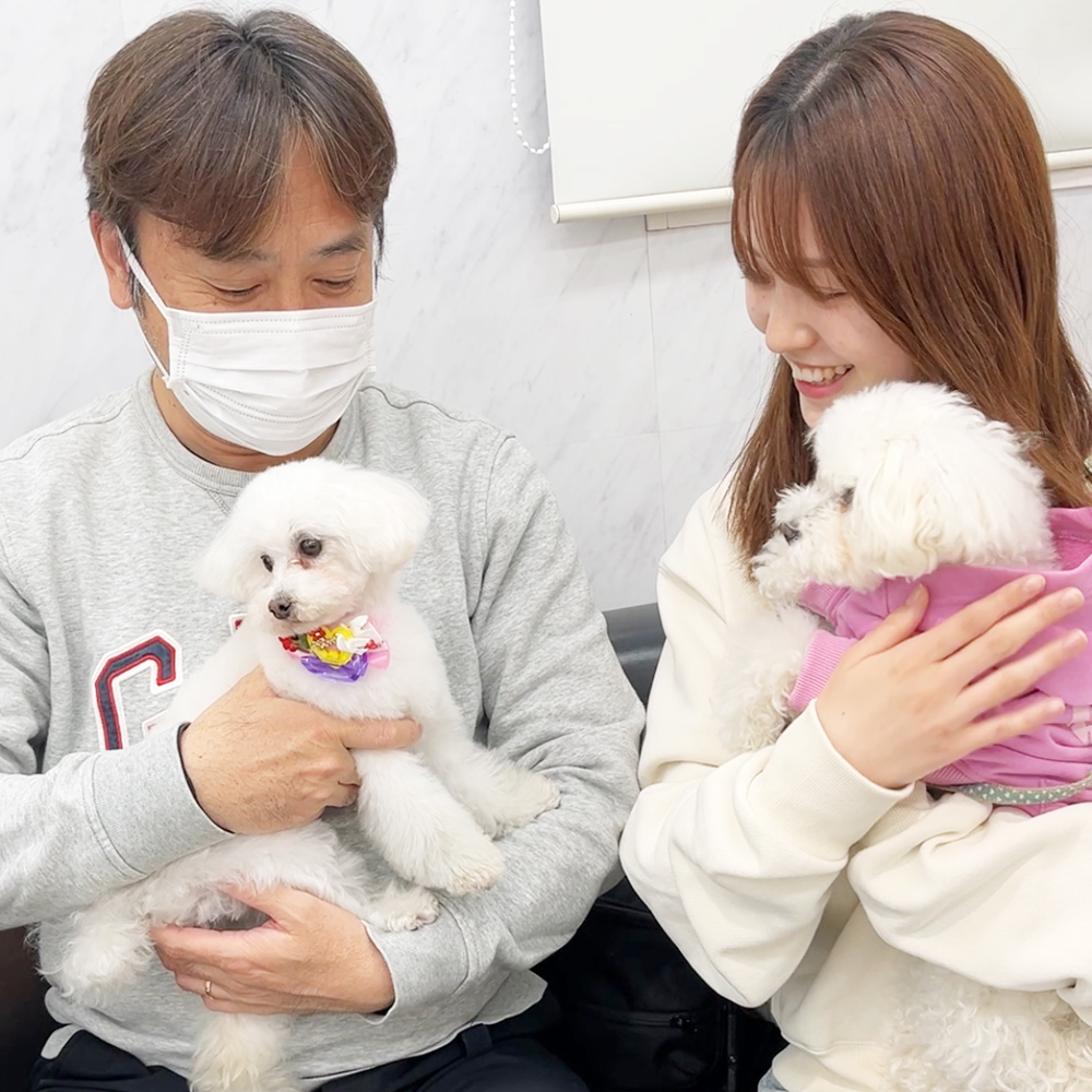 モデル犬の新しいおうちが決まりました！PART①
